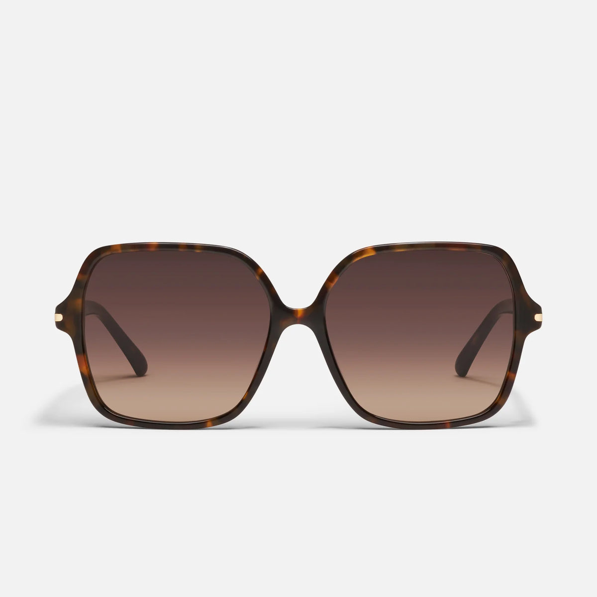 Press Tour - Tortoise / Dark Fawn