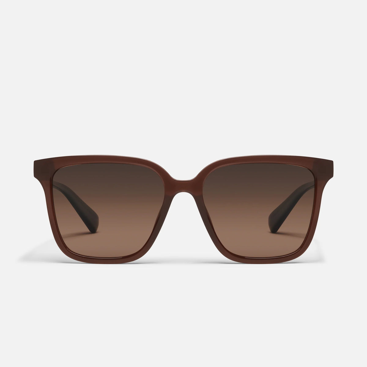 Try Me - Dark Brown / Fawn Polarized