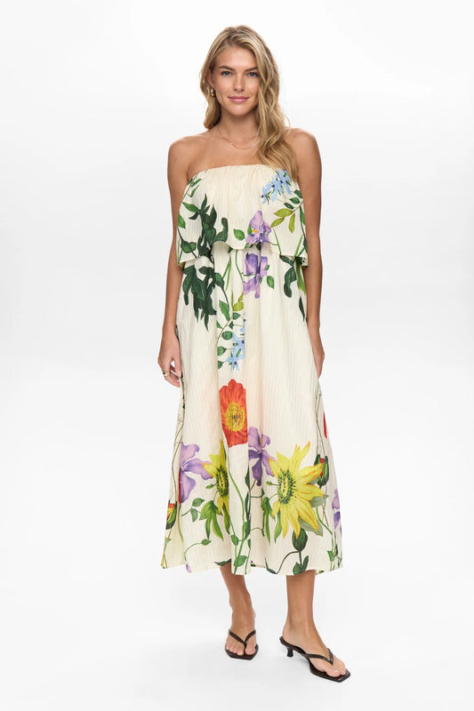 Nubelisa Dress - Pristine