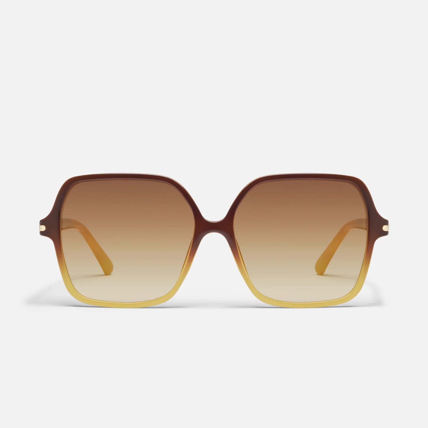 Press Tour - Daisy Ombre / Sepia