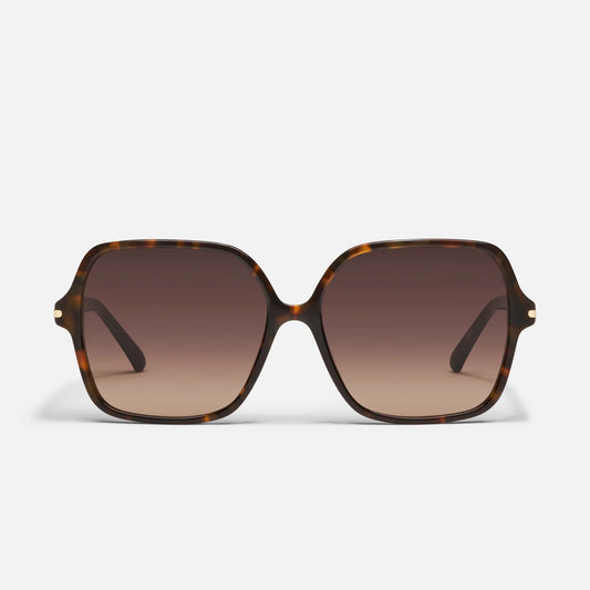 Press Tour - Tortoise / Dark Fawn