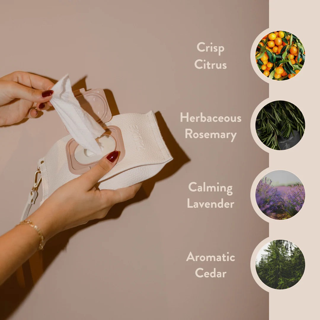 Hand and Body Cleansing Wipes